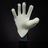 One Glove GEO 3.0 Entity